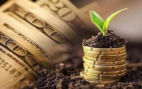 国际期货稳定平台